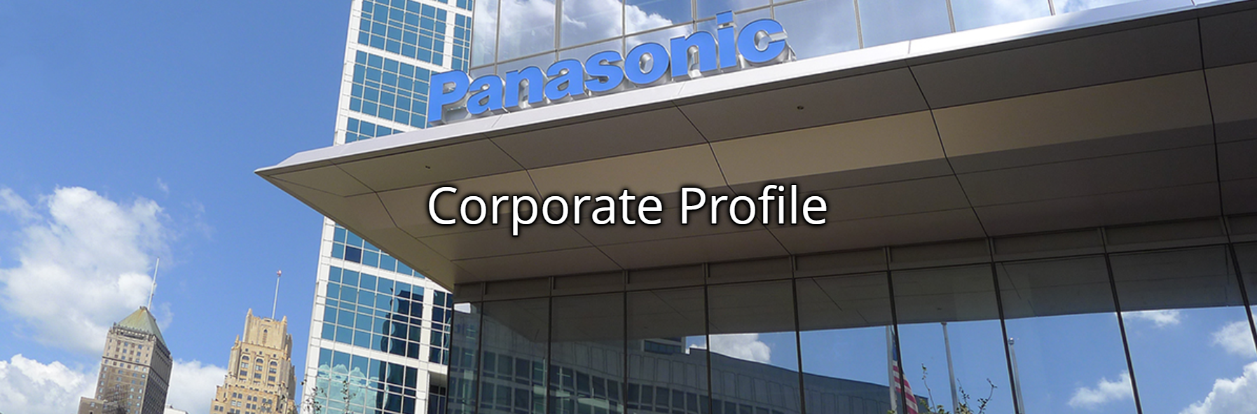 Panasonic Tools: Overview