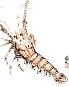 Lobster / Lobtex: Overview