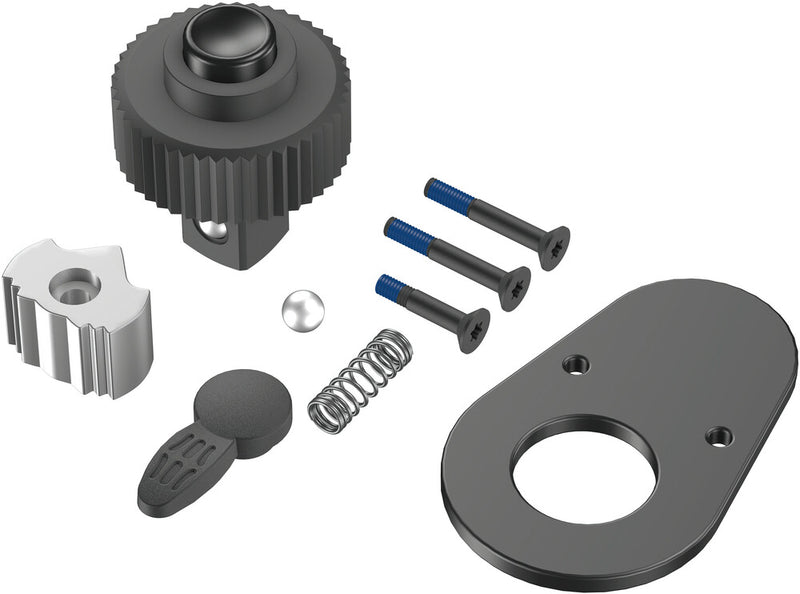 Wera 05547620001, 9900 Ratchet Repair Kit