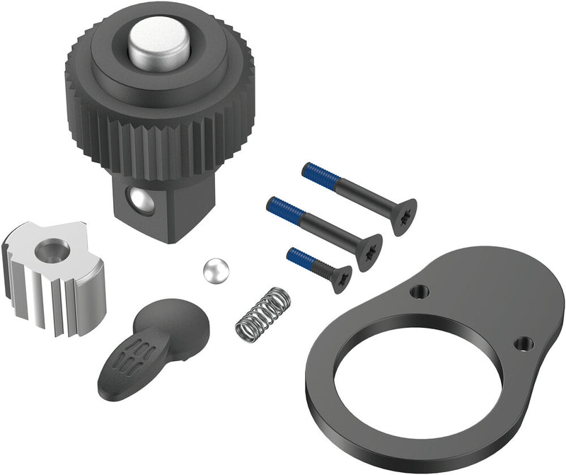 Wera 05547638001, 9909 Ratchet Repair Kit