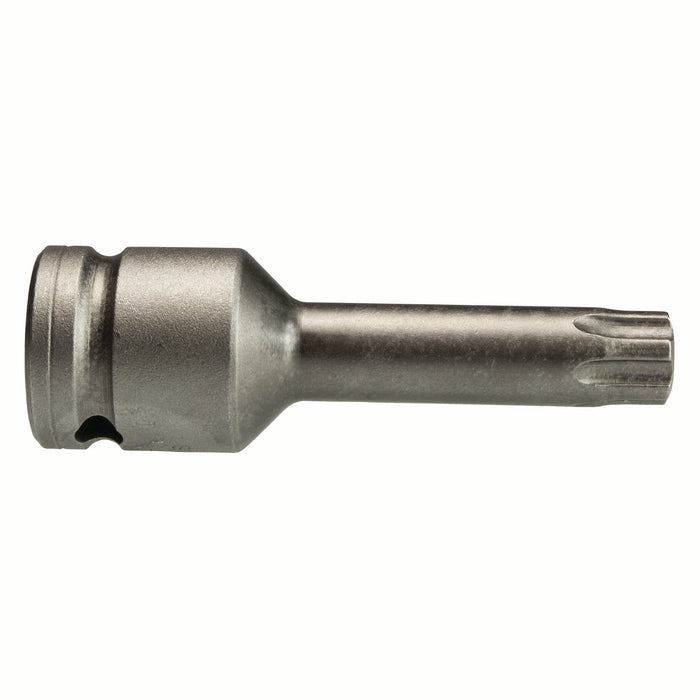 Torx || Socket Bit || Max Hardness