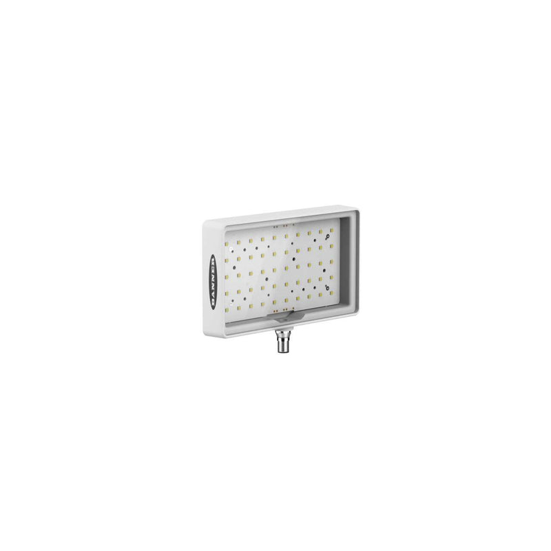 Banner 813552, WLA-2W105X180EQ, WLA-2 Area Light: 105 x 180 mm