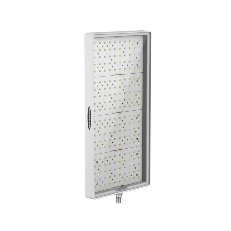 Banner 813543, WLA-2W360X180Q, WLA-2 Area Light: 360 x 180 mm
