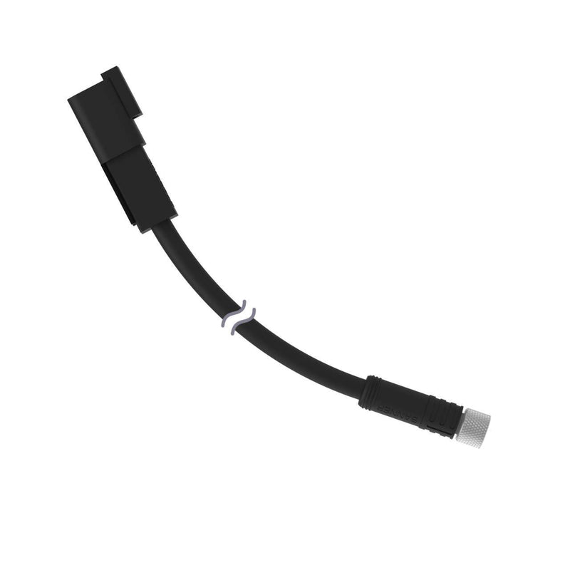 Banner 800031, PKG4M-0.20-DTM-2P, Cordset: Double-Ended M8 to Deutsch DTM04-2P