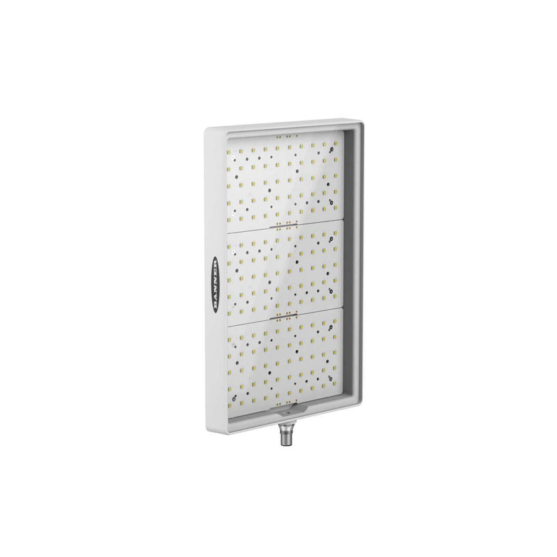 Banner 813542, WLA-2W275X180Q, WLA-2 Area Light: 275 x 180 mm