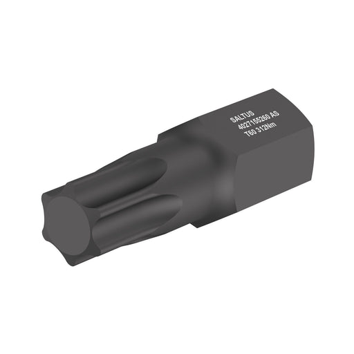 Saltus 4027165280, 22mm Hex Drive Screwdriver Bit, TX 80 - Torx Key